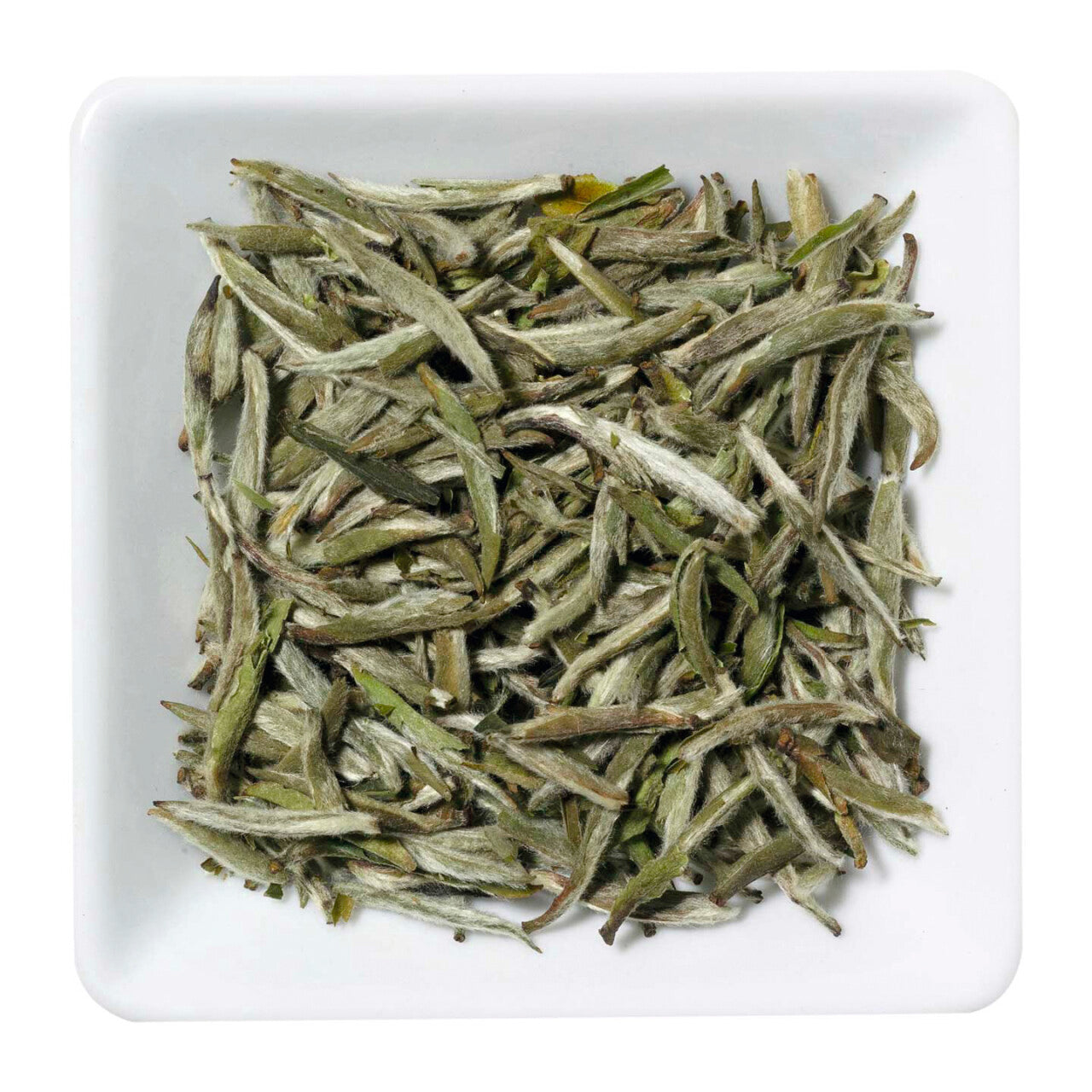 Yin Zhen Bai Hao - Silver Needle - - Tee-hoch-n Teefachgeschäft Online-Shop