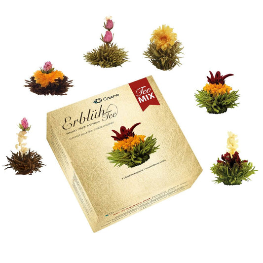 Mixed 6er- Box ErblühTee Weißer/Schwarzer/Grüner Tee - Tee-hoch-n Teefachgeschäft Online-Shop