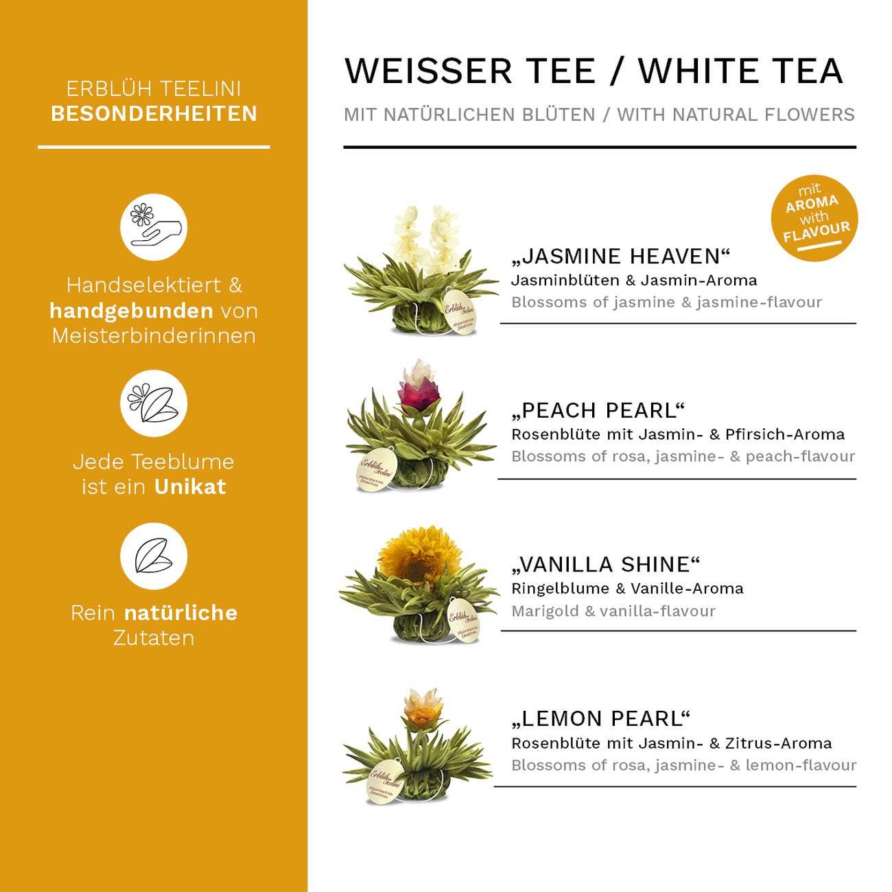 72er Pack ErblühTeelini Weißtee - Tee-hoch-n Teefachgeschäft Online-Shop