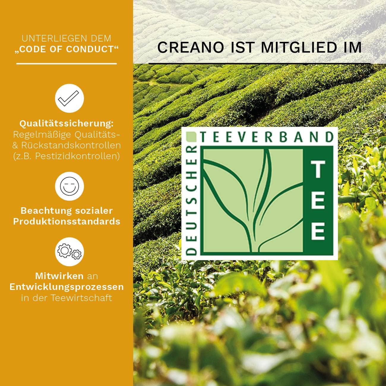 72er Pack ErblühTeelini Weißtee - Tee-hoch-n Teefachgeschäft Online-Shop