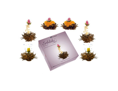 Creano 6 Teeblumen Erblühtee in edler Geschenkbox - Tee-hoch-n Teefachgeschäft Online-Shop