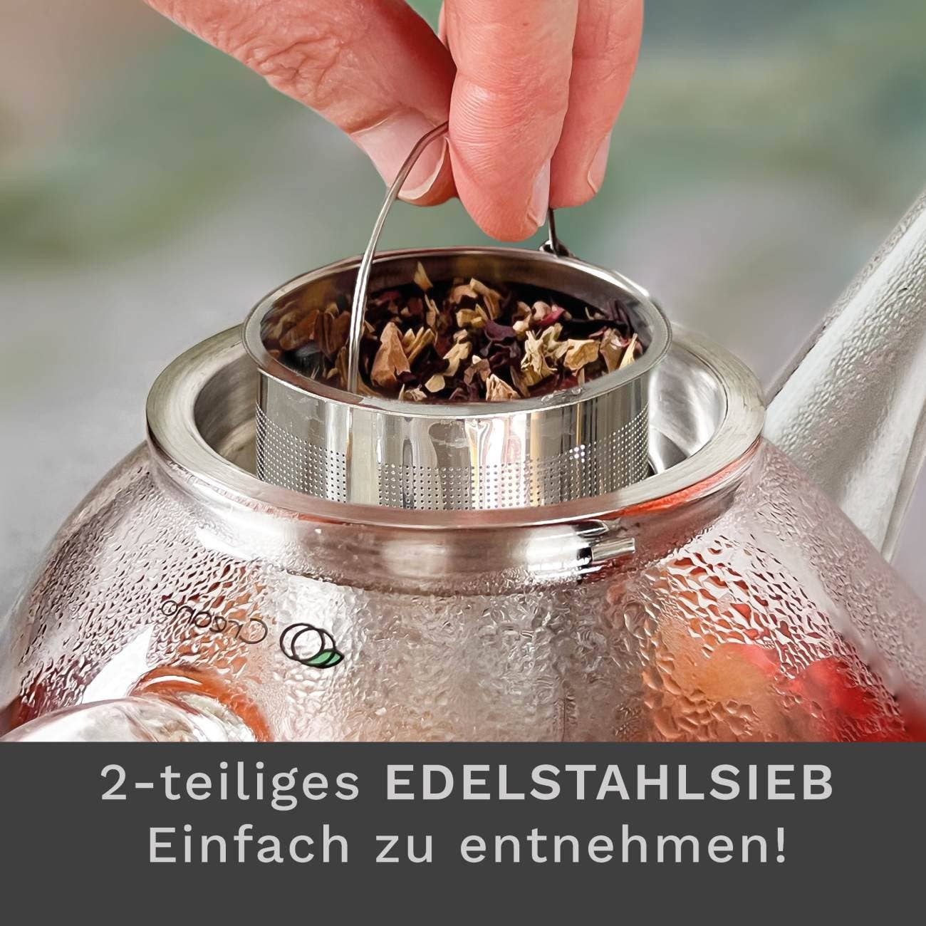 Glas Teekanne flach; 1,6 Liter - Tee-hoch-n Teefachgeschäft Online-Shop