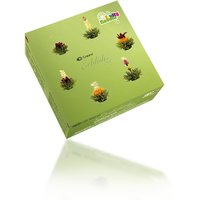 Creano 6er Pack Erblüh-Tee Grüner-Tee