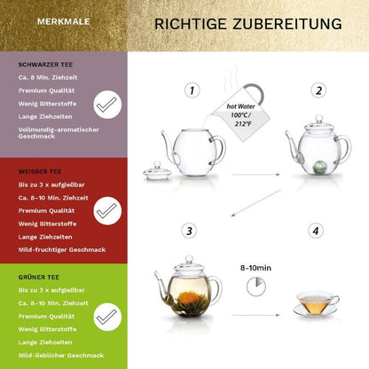 Magnetbox 3 Sorten Tee - Tee-hoch-n Teefachgeschäft Online-Shop
