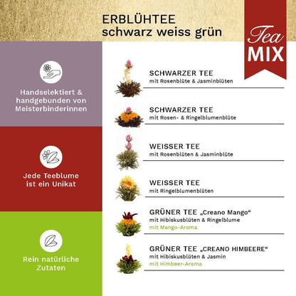 Magnetbox 3 Sorten Tee - Tee-hoch-n Teefachgeschäft Online-Shop