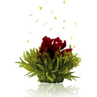 Erblühtee Grünertee Sortiert - 6 Sorten