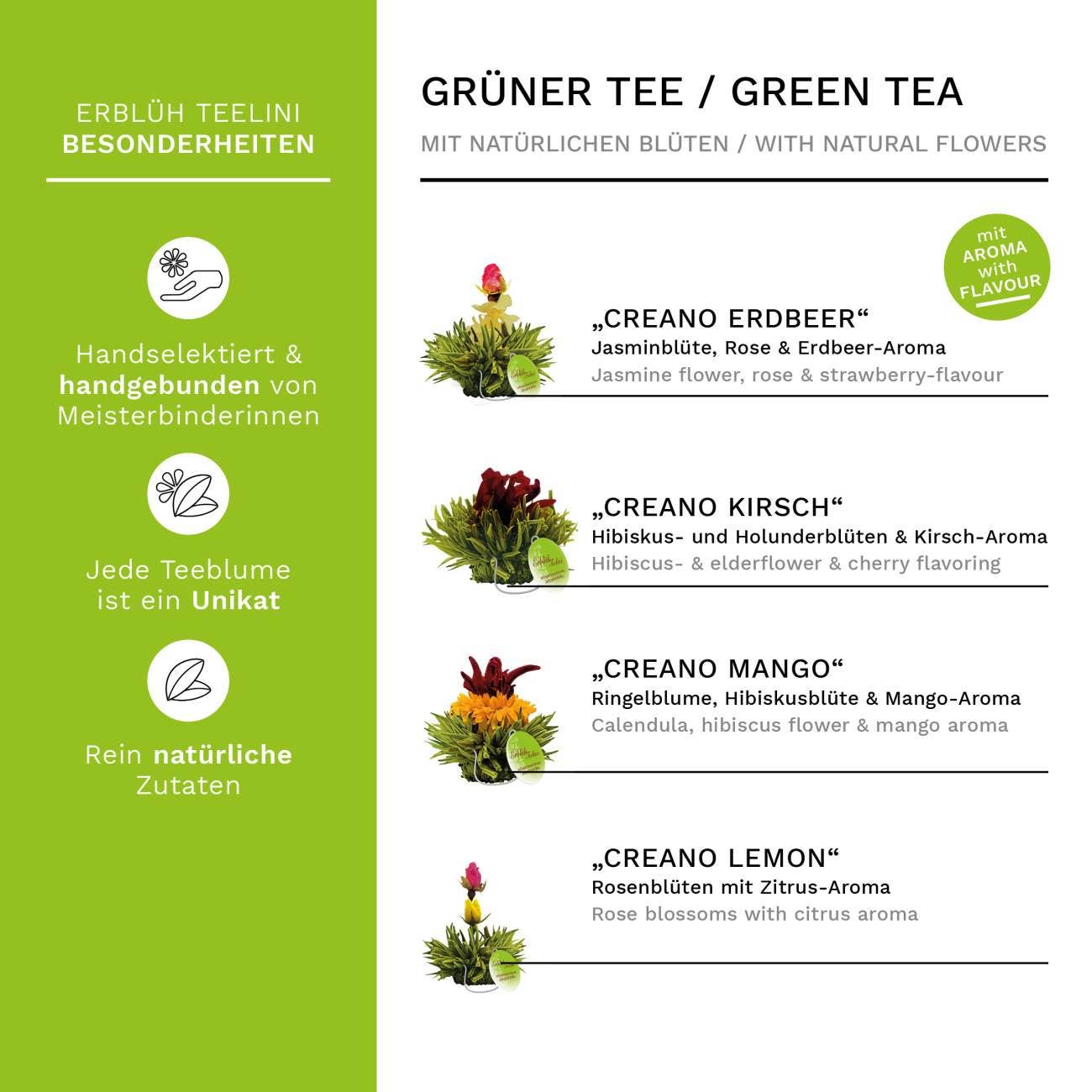 ErblühTeelini 36er Pack „Grüner Tee“ - Tee-hoch-n Teefachgeschäft Online-Shop