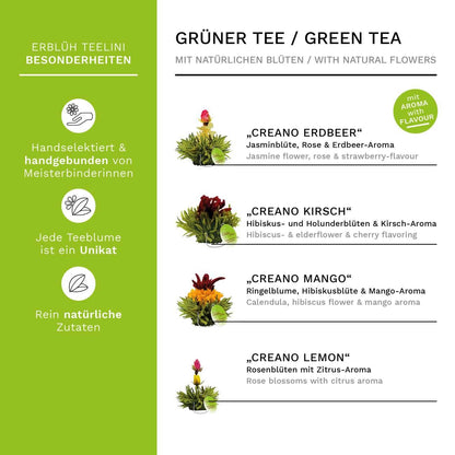 ErblühTeelini 36er Pack „Grüner Tee“ - Tee-hoch-n Teefachgeschäft Online-Shop
