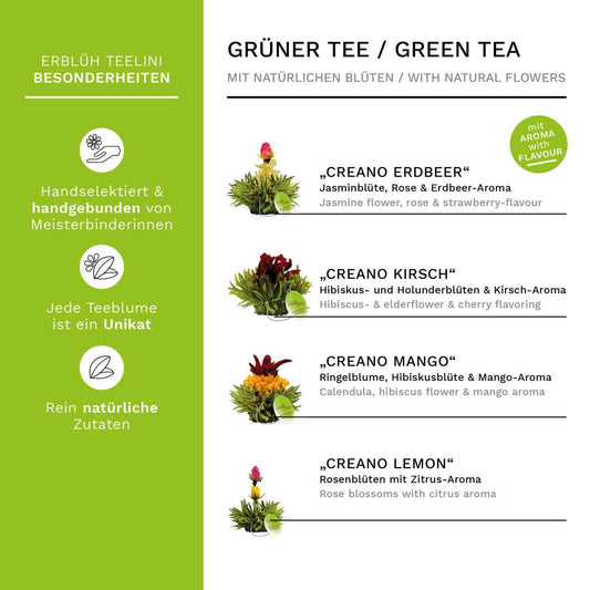 ErblühTeelini 36er Pack „Grüner Tee“ - Tee-hoch-n Teefachgeschäft Online-Shop