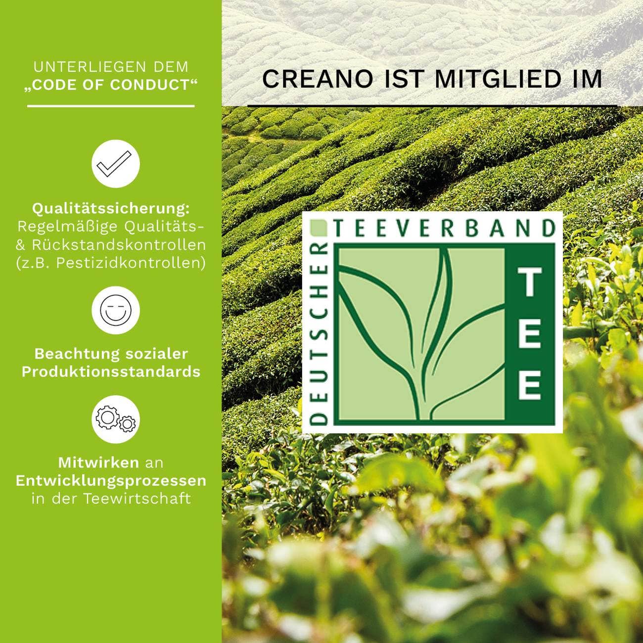 ErblühTeelini 36er Pack „Grüner Tee“ - Tee-hoch-n Teefachgeschäft Online-Shop