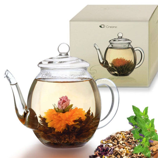 Creano Teekanne aus Glas mit Deckel für 500ml Tee aus Teeblu - Tee-hoch-n Teefachgeschäft Online-Shop