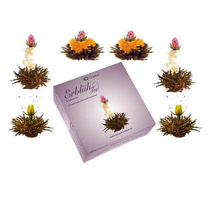 Creano 6 Teeblumen Erblühtee in edler Geschenkbox - Tee-hoch-n Teefachgeschäft Online-Shop